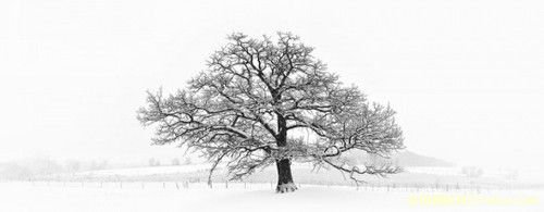 雪景拍攝技巧全攻略