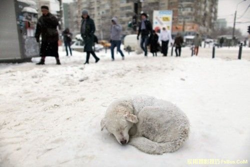 雪景拍攝技巧全攻略