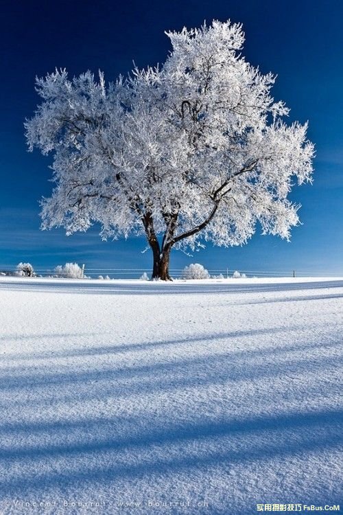 雪景拍攝技巧全攻略