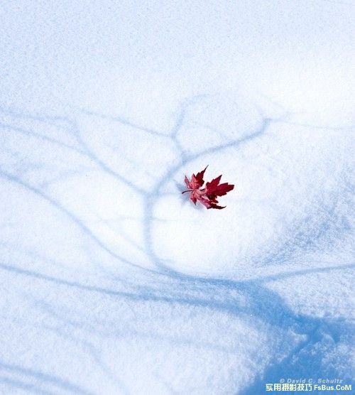 雪景拍攝技巧全攻略