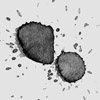 canonhdzC(j)xa30ʹf