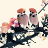 05SFJ05յڲ䓽Ybʽ܈D